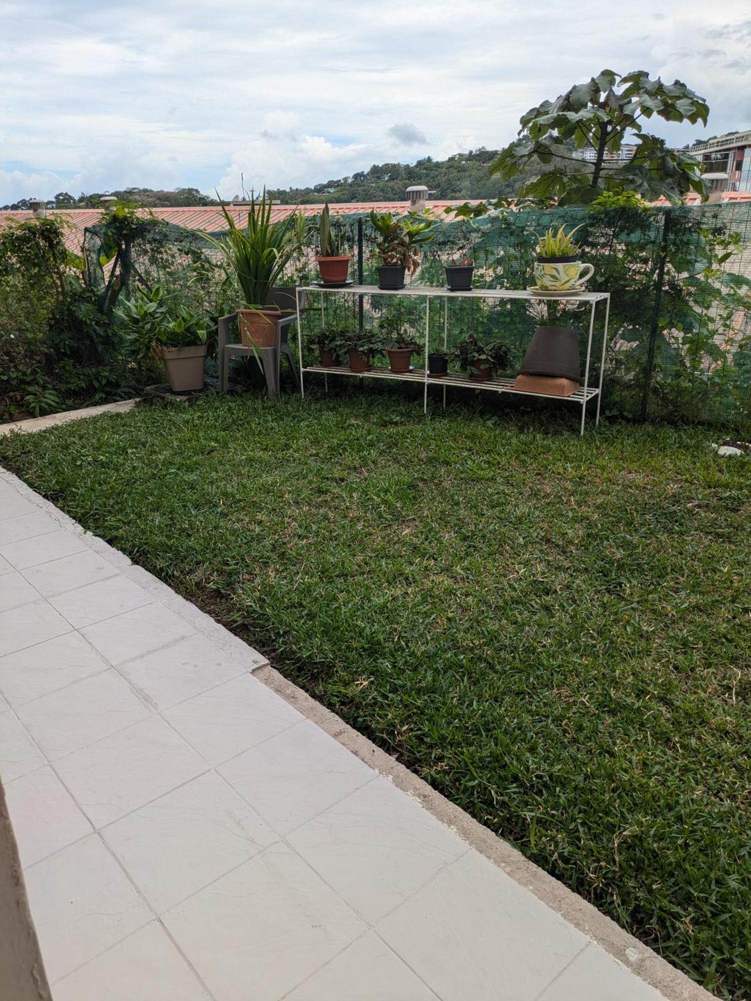 N'Jok Papeete Apartamento Papeete  Exterior foto